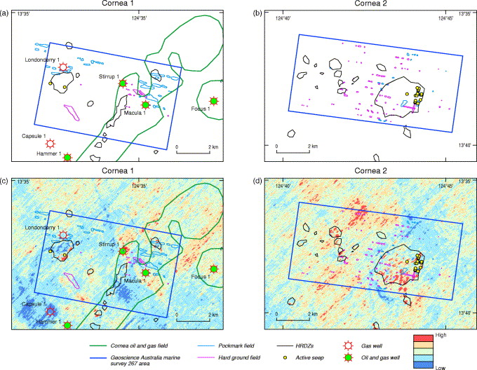 gss survey services data processing presentation