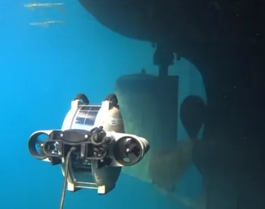 gss survey services search salvage